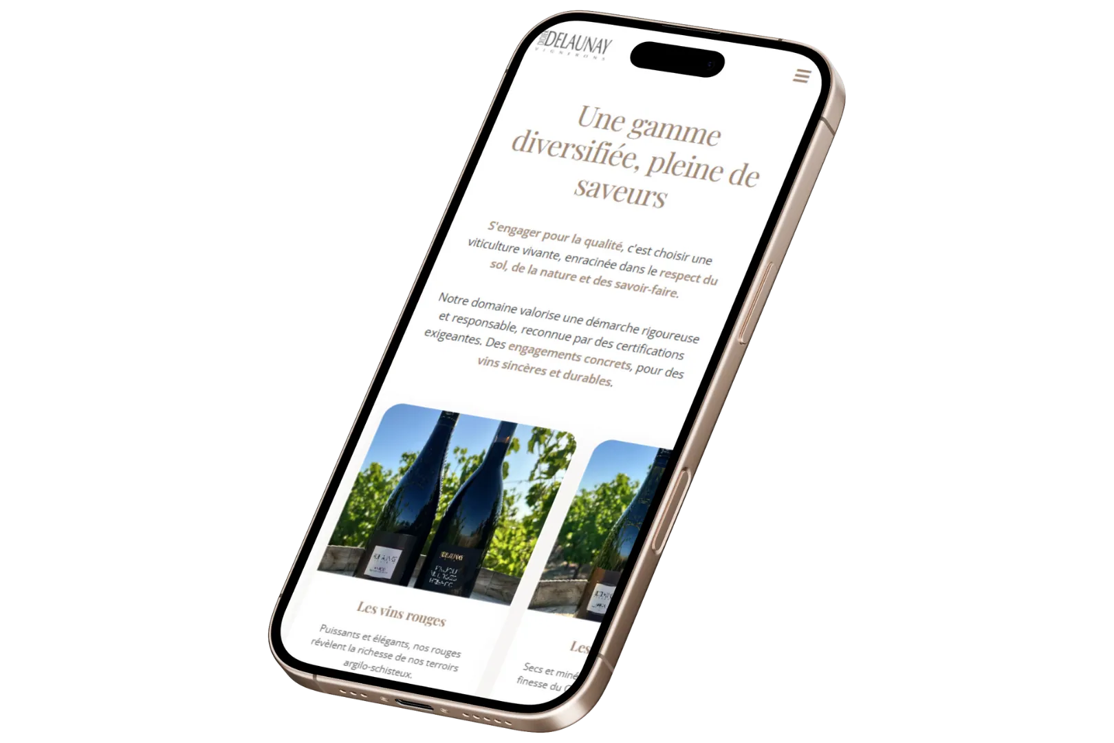 Domaine Delaunay - Mockup iPhone page collection