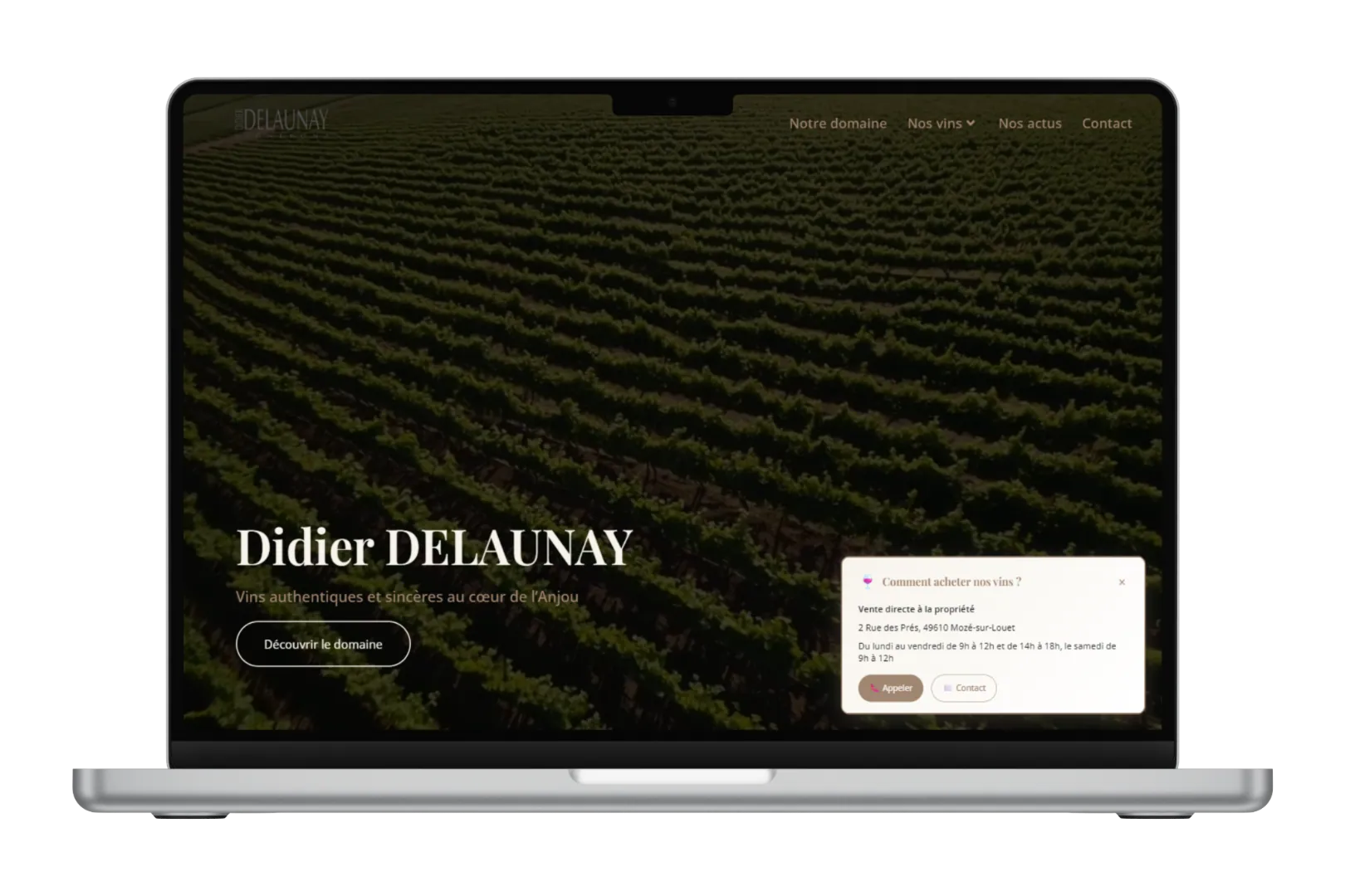 Mockup MacBook - Site Domaine Delaunay