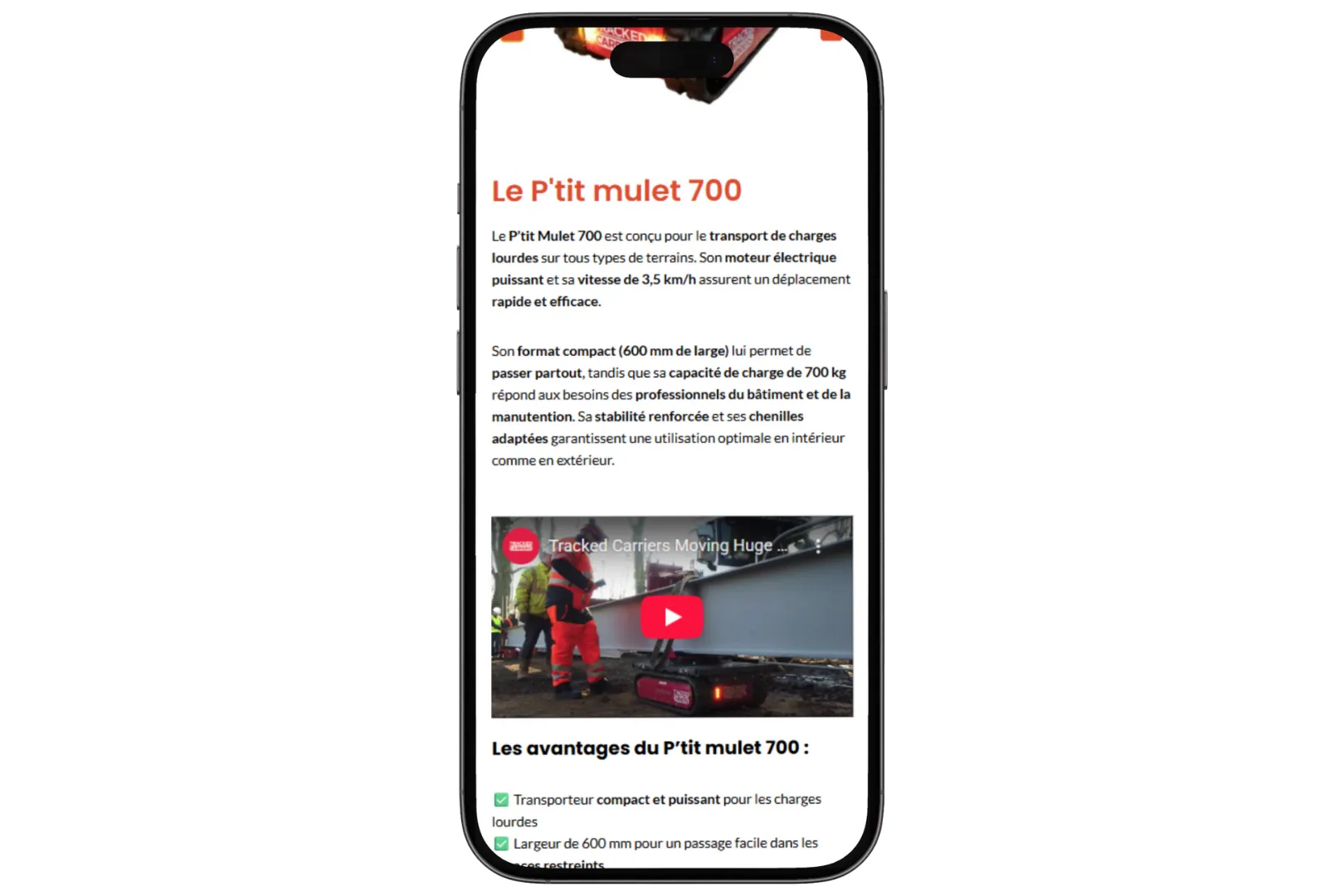 Pro2Mat - Mockup iPhone page produit