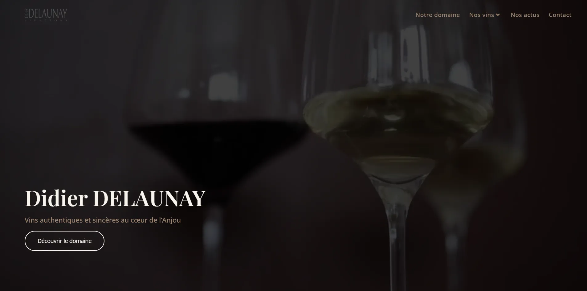 Aperçu du site Domaine Didier Delaunay