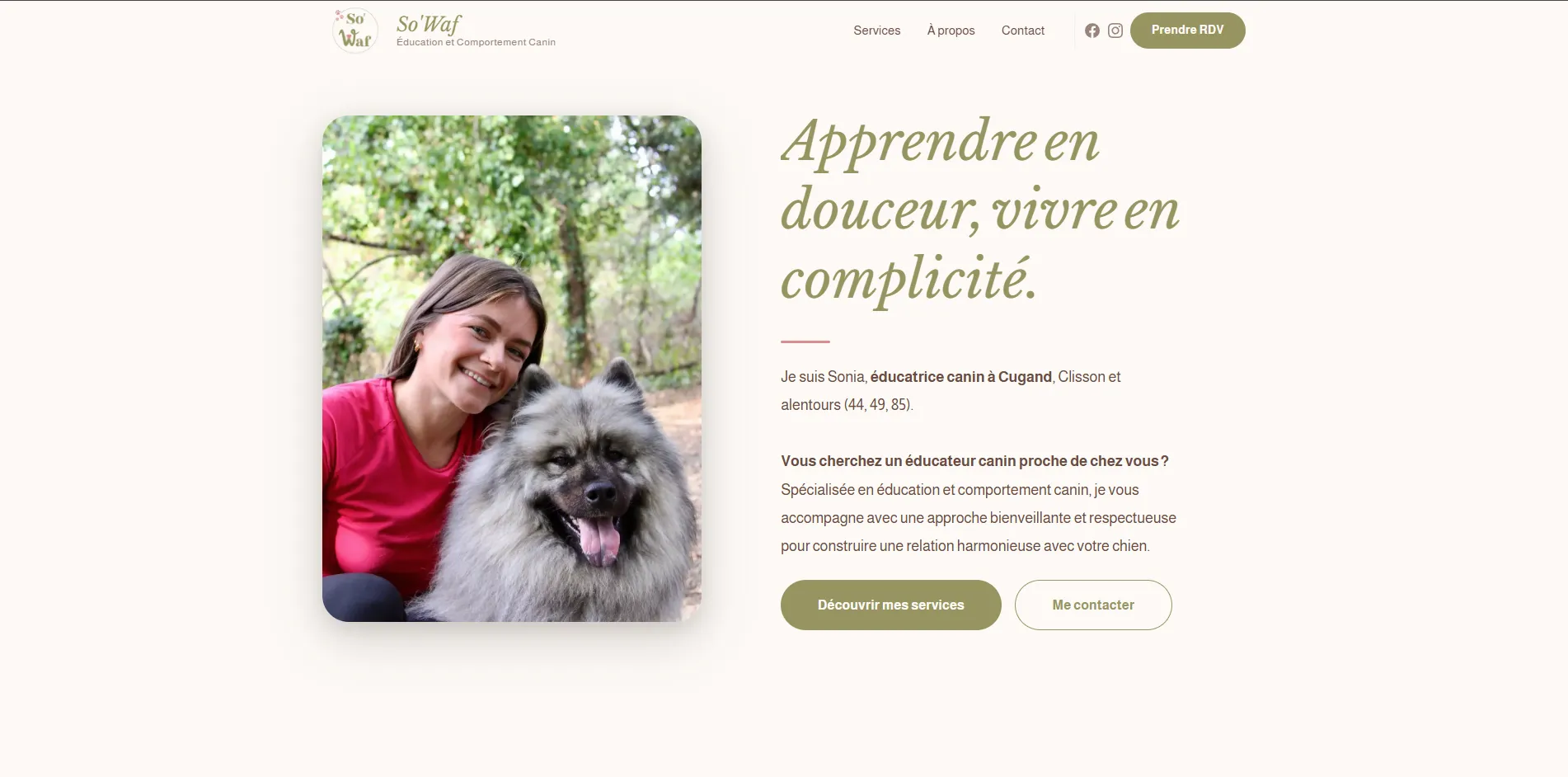 Aperçu du site Sowaf